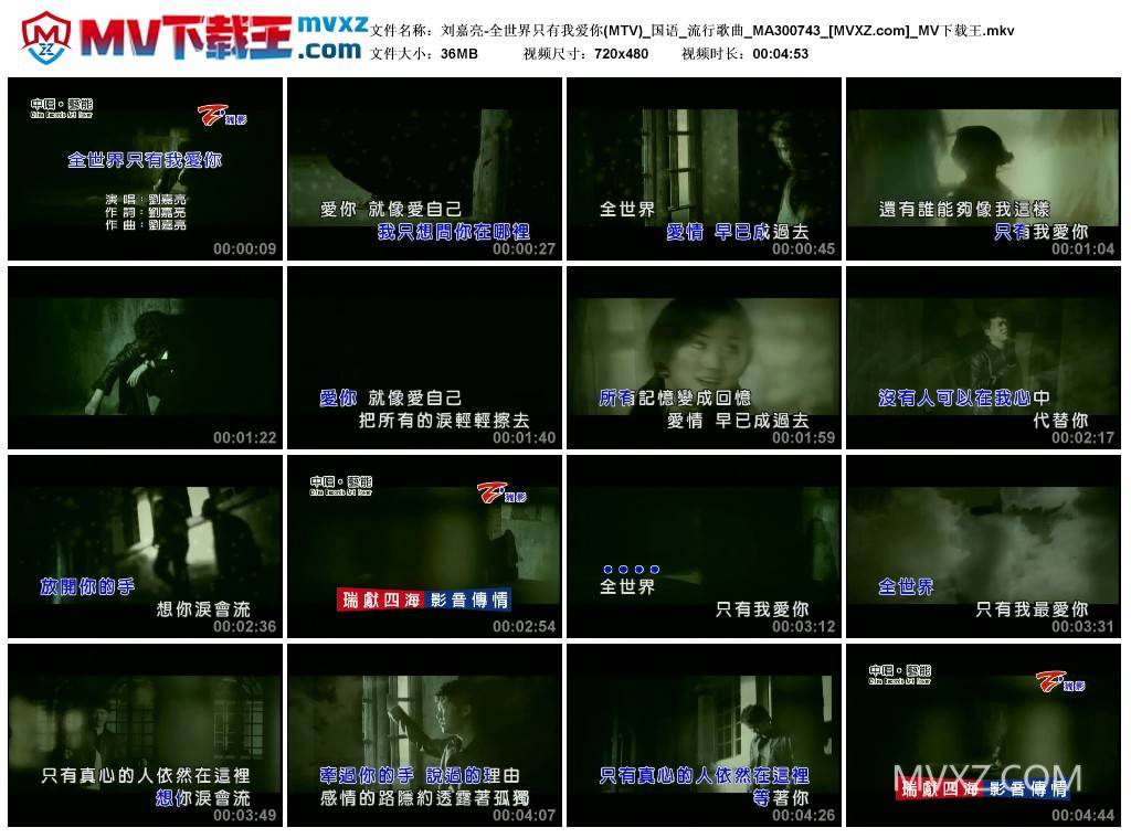 刘嘉亮-全世界只有我爱你(MTV)_国语_流行歌曲_MA300743